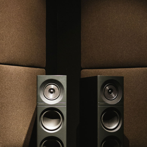 Дюбель-гвоздь SNAKE SB UK нейлон для крепления акустических панелей сквозь прикрепляемый материал.