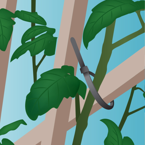 Стяжка многоразовая PRM 200x7.5 прозрачная